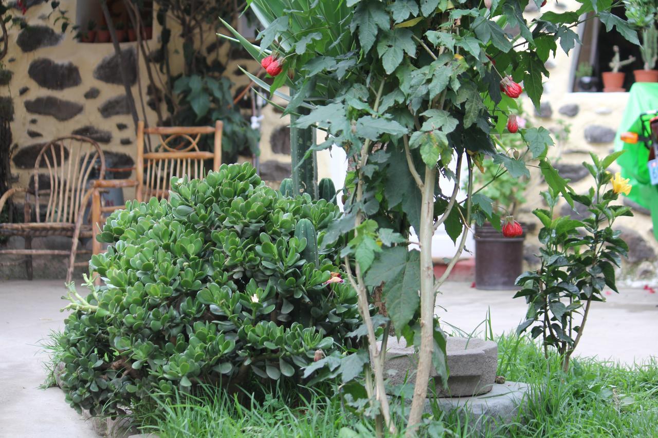 Killari Hostal Ollantaytambo Exterior photo